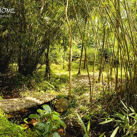 Little Home Resort Vythiri Esterno foto