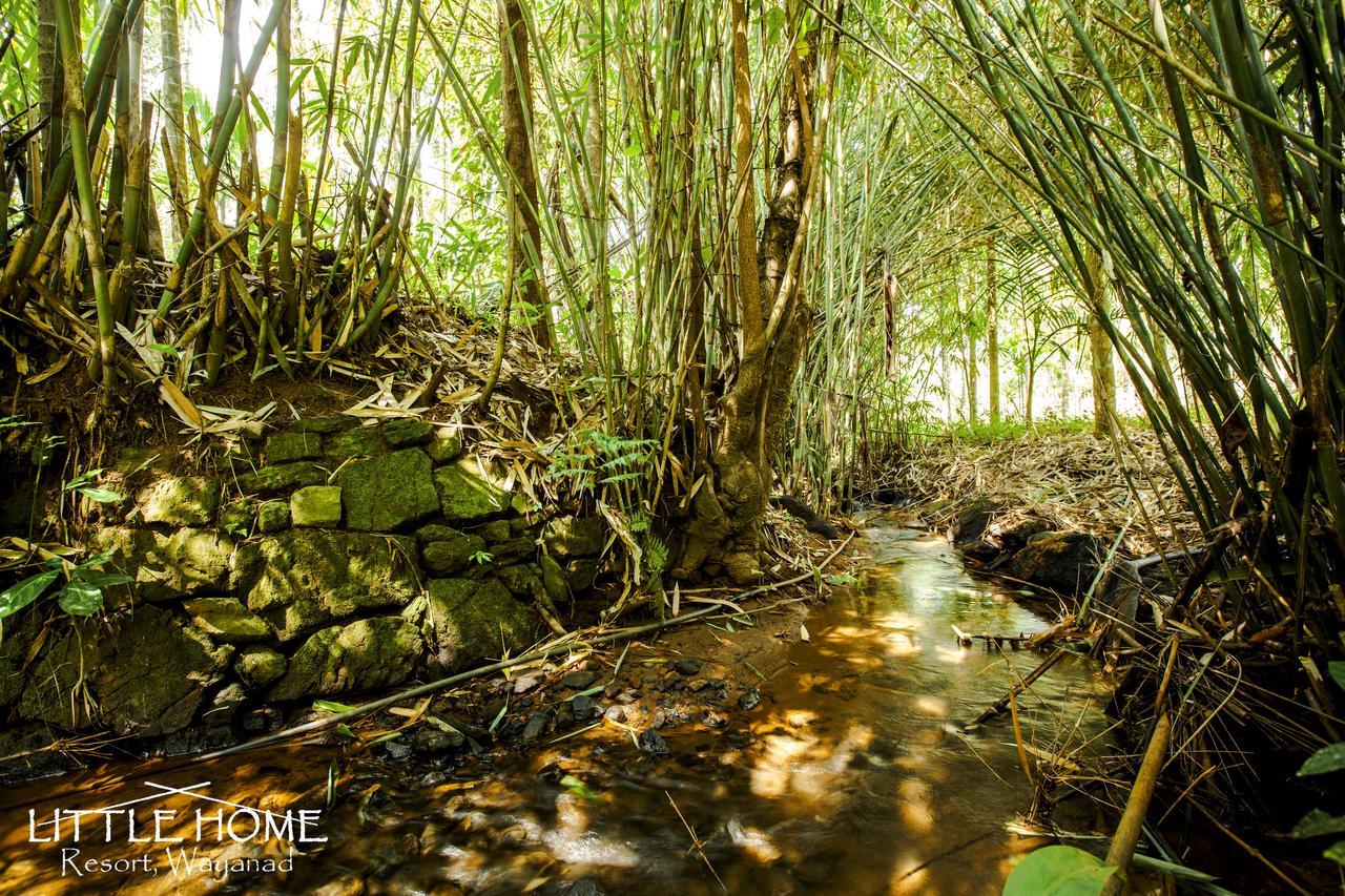 Little Home Resort Vythiri Esterno foto