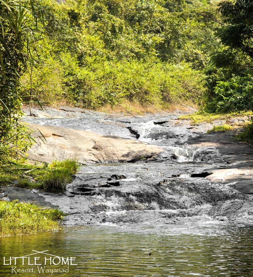 Little Home Resort Vythiri Esterno foto